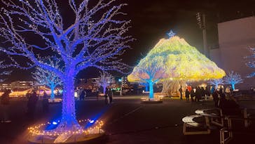 東京メガイルミに投稿された画像（2025/12/15）