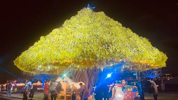 東京メガイルミに投稿された画像（2025/12/15）