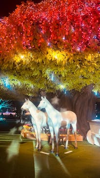 東京メガイルミに投稿された画像（2025/12/15）