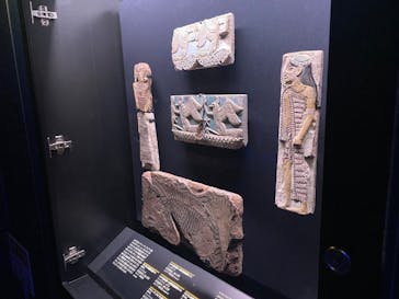 ACN ラムセス大王展 ファラオたちの黄金に投稿された画像（2025/12/15）