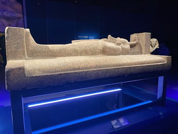 ACN ラムセス大王展 ファラオたちの黄金に投稿された画像（2025/12/15）