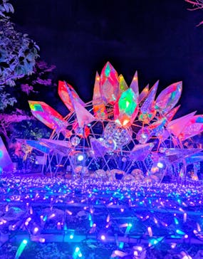 江の島シーキャンドルに投稿された画像（2025/12/15）