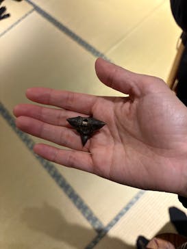 手裏剣道場 新宿 忍者からくり屋敷 NINJA TRICK HOUSE IN TOKYOに投稿された画像（2025/12/15）