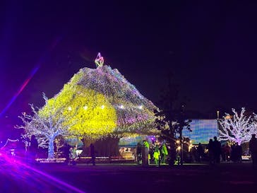 東京メガイルミに投稿された画像（2025/12/15）