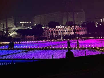 東京メガイルミに投稿された画像（2025/12/15）