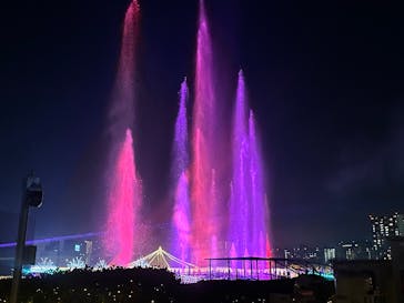 東京メガイルミに投稿された画像（2025/12/15）