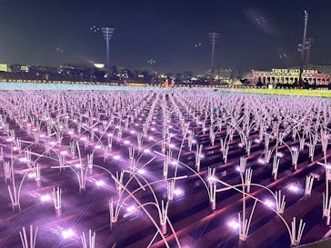 東京メガイルミに投稿された画像（2025/12/15）