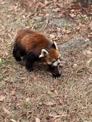 千葉市動物公園に投稿された画像（2025/12/15）