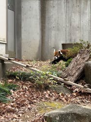 千葉市動物公園に投稿された画像（2025/12/15）