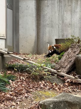 千葉市動物公園に投稿された画像（2025/12/15）