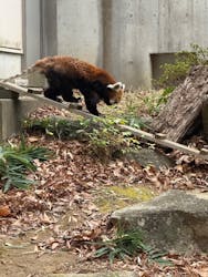 千葉市動物公園に投稿された画像（2025/12/15）
