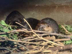 千葉市動物公園に投稿された画像（2025/12/15）