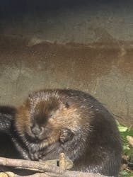 千葉市動物公園に投稿された画像（2025/12/15）