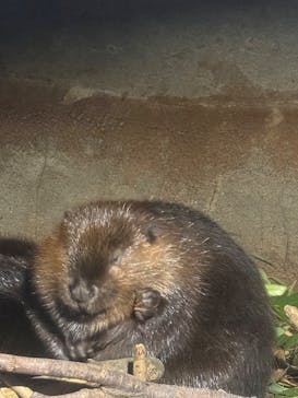 千葉市動物公園に投稿された画像（2025/12/15）