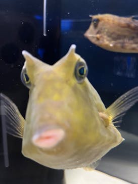 シン・マリホ水族館に投稿された画像（2025/12/15）