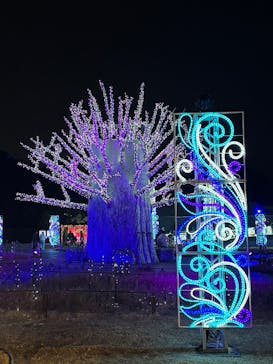 ラグーナテンボス ラグナシアに投稿された画像（2025/12/15）