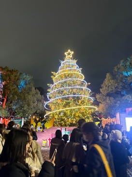 Christmas Market in 横浜赤レンガ倉庫 2025に投稿された画像（2025/12/15）