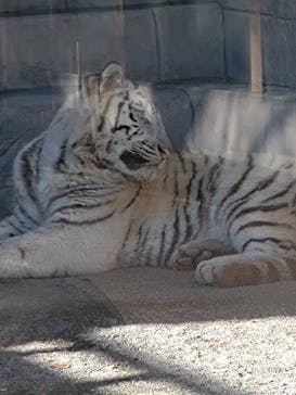 東武動物公園に投稿された画像（2025/12/15）