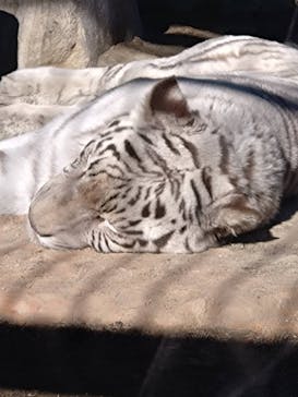 東武動物公園に投稿された画像（2025/12/15）