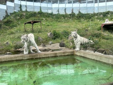 東武動物公園に投稿された画像（2025/12/15）