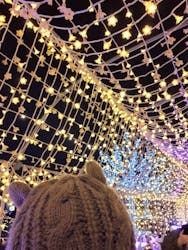 東京メガイルミに投稿された画像（2025/12/15）