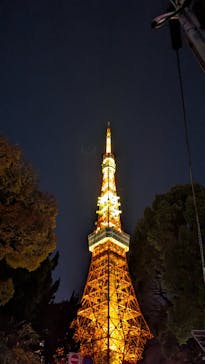 東京タワーに投稿された画像（2025/12/15）