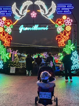 伊豆高原グランイルミに投稿された画像（2025/12/15）