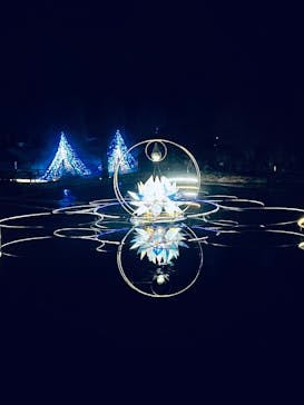KYOTO ILLUMINATION SYNESTHESIA HILLS るり渓温泉に投稿された画像（2025/12/15）