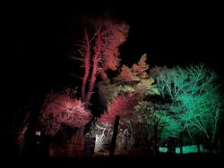 KYOTO ILLUMINATION SYNESTHESIA HILLS るり渓温泉に投稿された画像（2025/12/15）