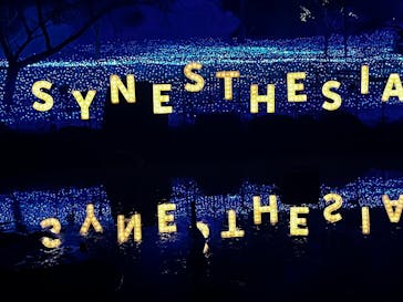 KYOTO ILLUMINATION SYNESTHESIA HILLS るり渓温泉に投稿された画像（2025/12/15）