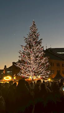 Christmas Market in 横浜赤レンガ倉庫 2025に投稿された画像（2025/12/15）