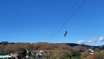 伊豆ぐらんぱる公園に投稿された画像（2025/12/15）