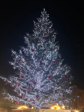 Christmas Market in 横浜赤レンガ倉庫 2025に投稿された画像（2025/12/15）