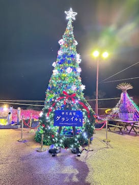 伊豆高原グランイルミに投稿された画像（2025/12/15）