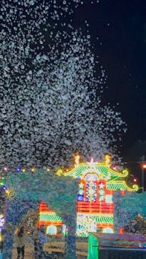 伊豆高原グランイルミに投稿された画像（2025/12/15）