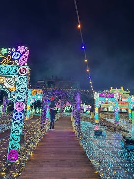 伊豆高原グランイルミに投稿された画像（2025/12/15）