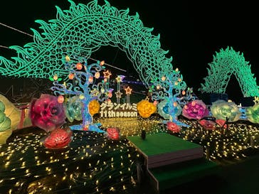 伊豆高原グランイルミに投稿された画像（2025/12/15）