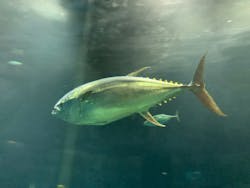 葛西臨海水族園に投稿された画像（2025/12/15）