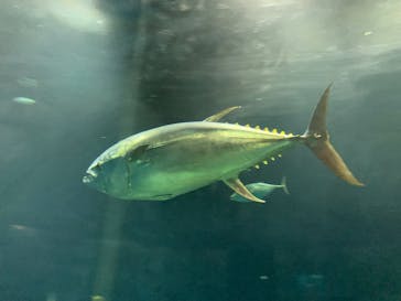 葛西臨海水族園に投稿された画像（2025/12/15）