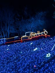 修善寺虹の郷に投稿された画像（2025/12/15）