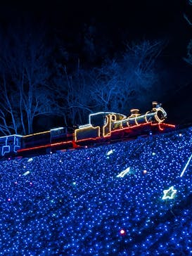 修善寺虹の郷に投稿された画像（2025/12/15）