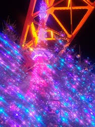 東京タワーに投稿された画像（2025/12/15）