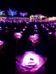 東京メガイルミに投稿された画像（2025/12/15）