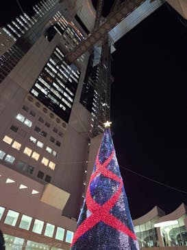 梅田スカイビル・空中庭園展望台に投稿された画像（2025/12/15）