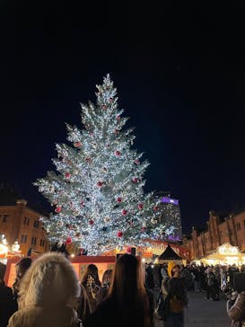 Christmas Market in 横浜赤レンガ倉庫 2025に投稿された画像（2025/12/15）