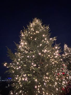 Christmas Market in 横浜赤レンガ倉庫 2025に投稿された画像（2025/12/15）