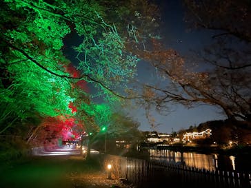 ムーミンバレーパークに投稿された画像（2025/12/15）