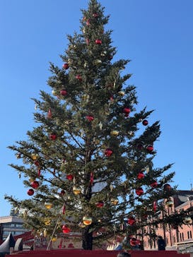 Christmas Market in 横浜赤レンガ倉庫 2025に投稿された画像（2025/12/15）