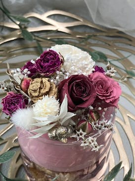 ずこうしつ〜sugamo〜に投稿された画像（2025/12/15）