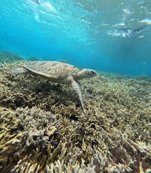 OCEAN LIFE 宮古島に投稿された画像（2025/12/15）